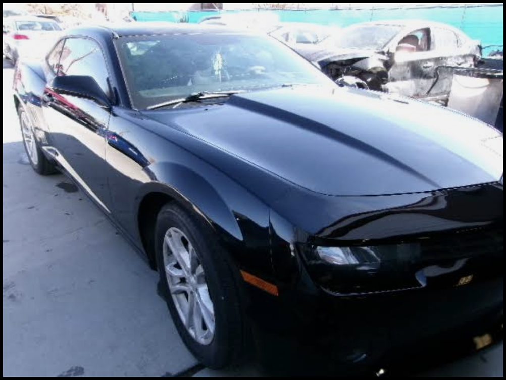 Black Camaro